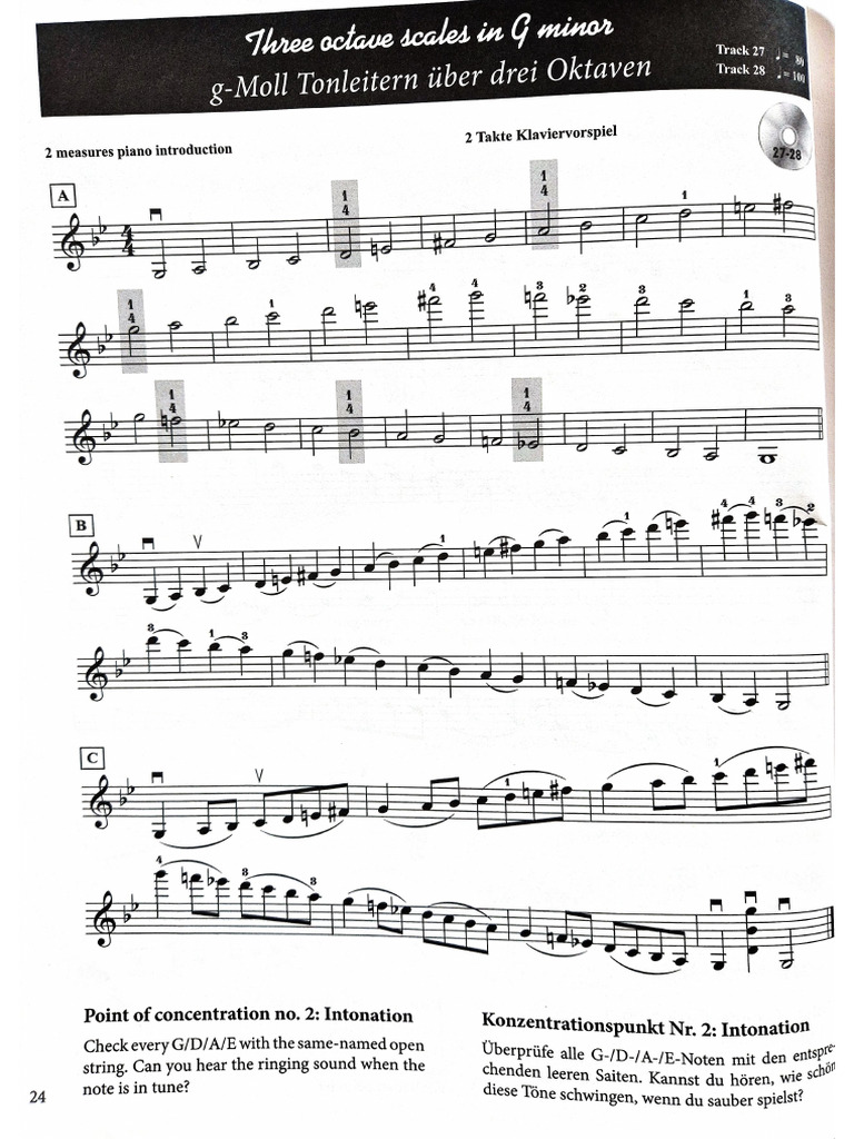 Document 31 | PDF