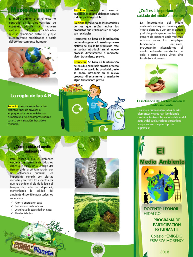 Cuidado del Medio Ambiente y 4R | PDF | Residuos | Entorno natural