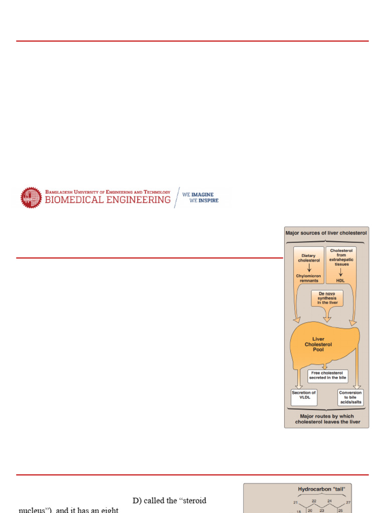 Cholesterol Metabolism and Regulation | PDF | Lipoprotein | Cholesterol