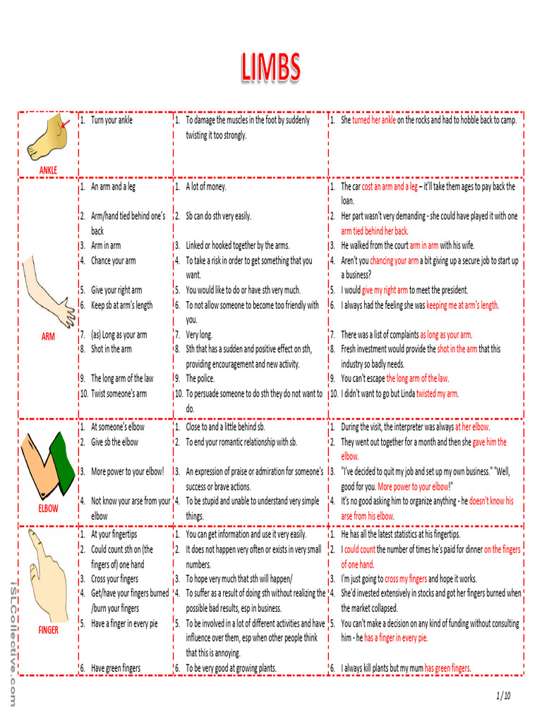 English Idioms: Body Parts Explained | PDF | Arm
