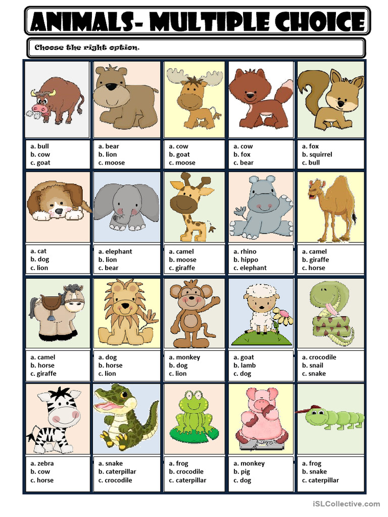 Animal Identification Quiz Options | PDF