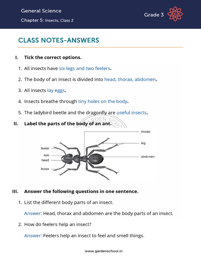 AK-CN-Grade+3-General+Science-Chapter+5-Class+2 | PDF | Insects | Mosquito