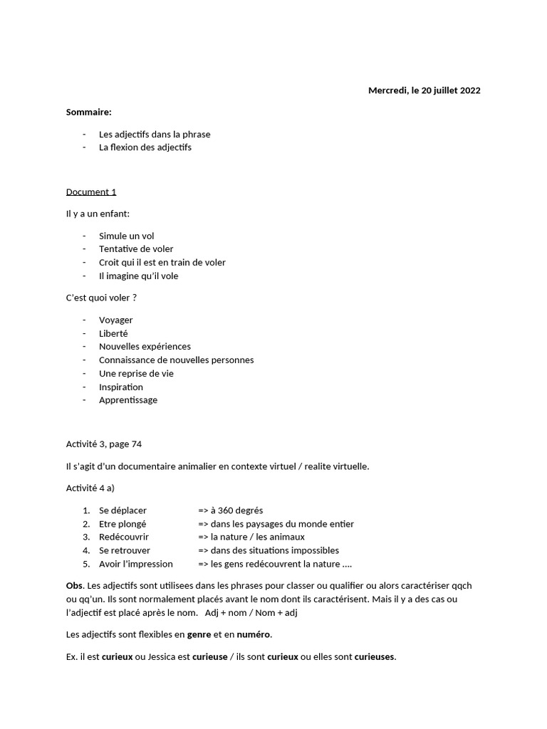 Adjectifs et Pronominalisation en Français | PDF | Pronom | Phrase