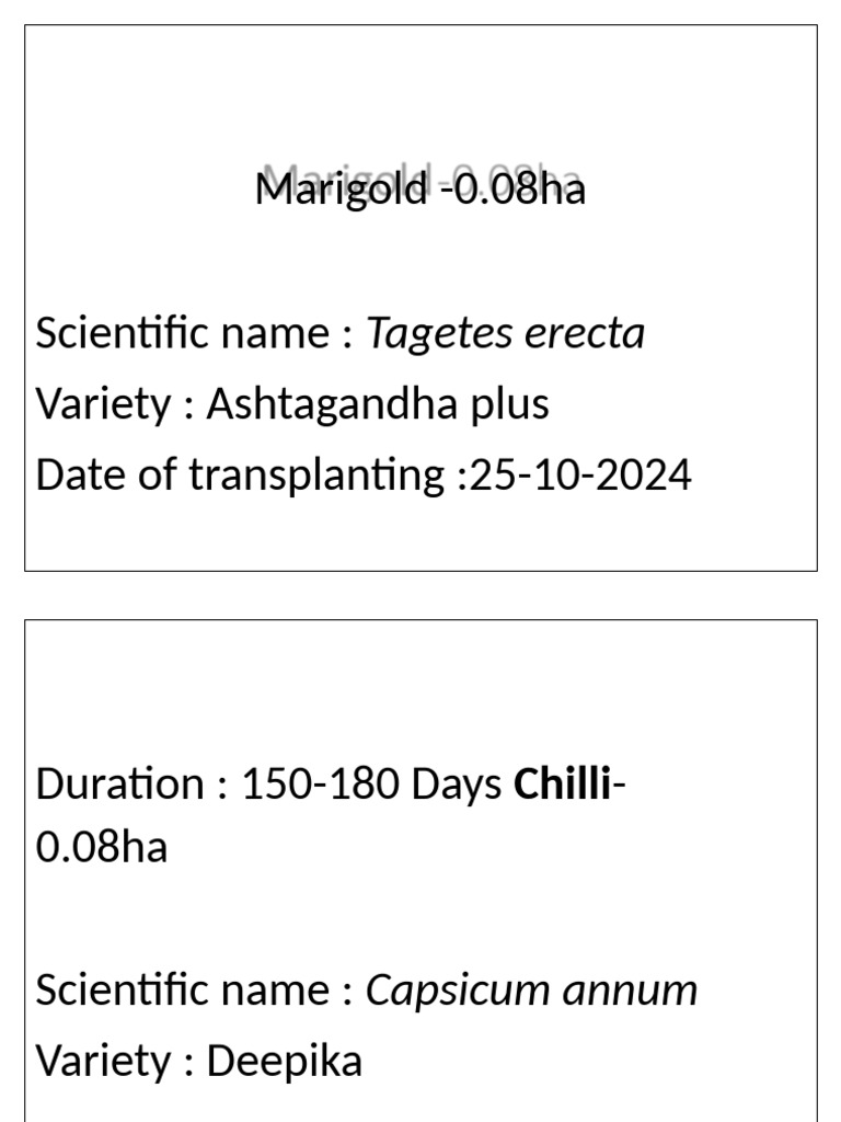 Crop Planting Schedule 2024 | PDF