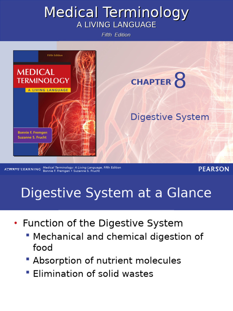 Digestive System Medical Terminology | PDF | Gastrointestinal Tract ...