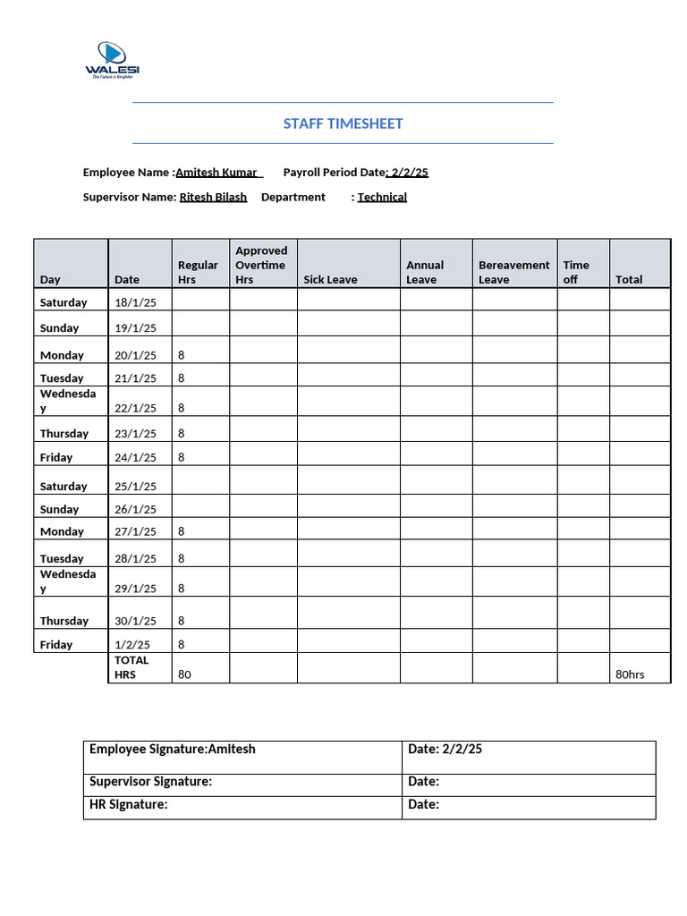 Employee Timesheet for Amitesh Kumar | PDF
