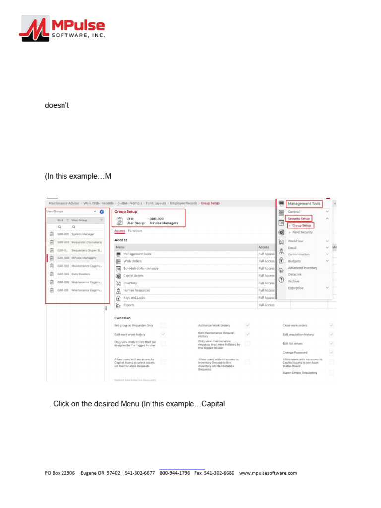Access Options in MPulse Group Setup | PDF | Software | Computing