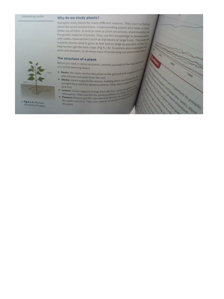 Win 202409 | PDF
