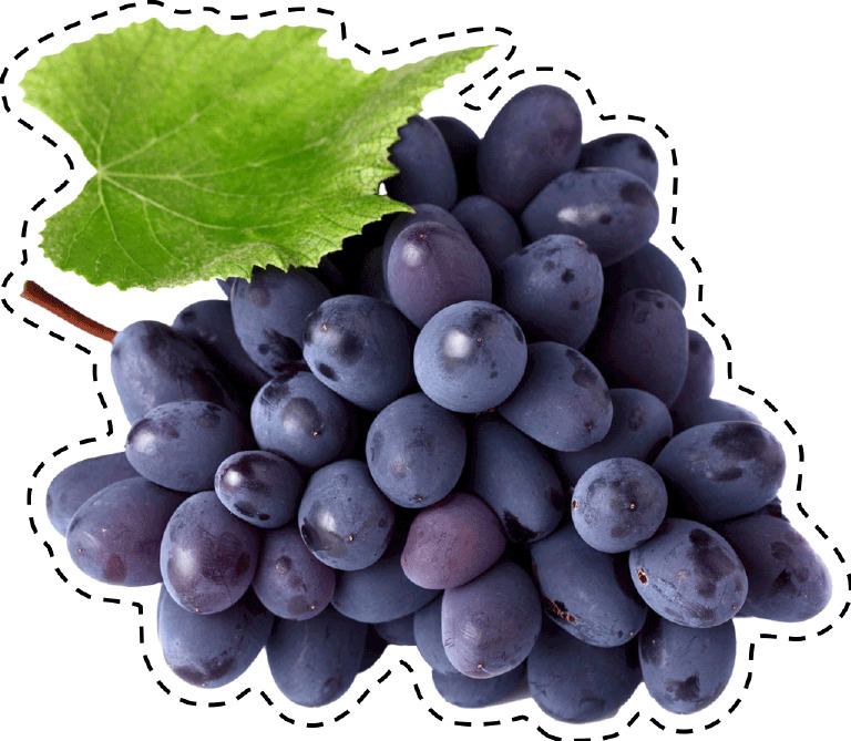 Grapes | PDF