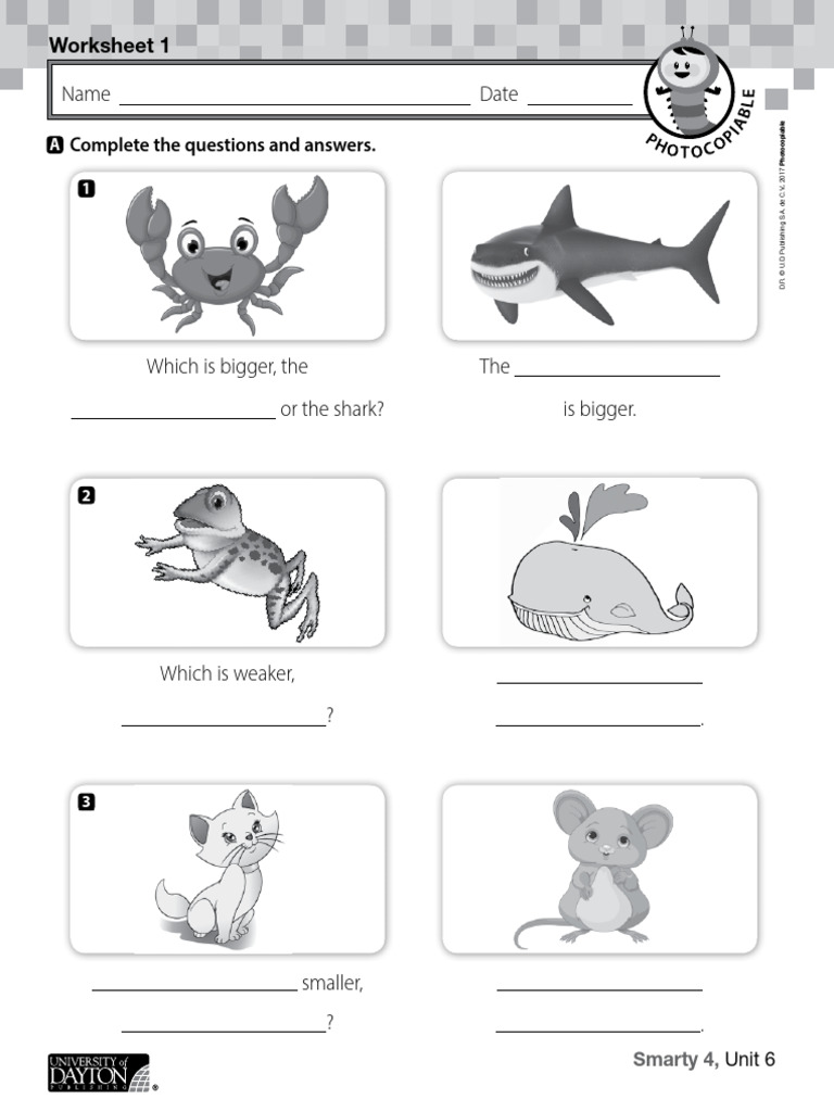 Comparison Questions Worksheet | PDF