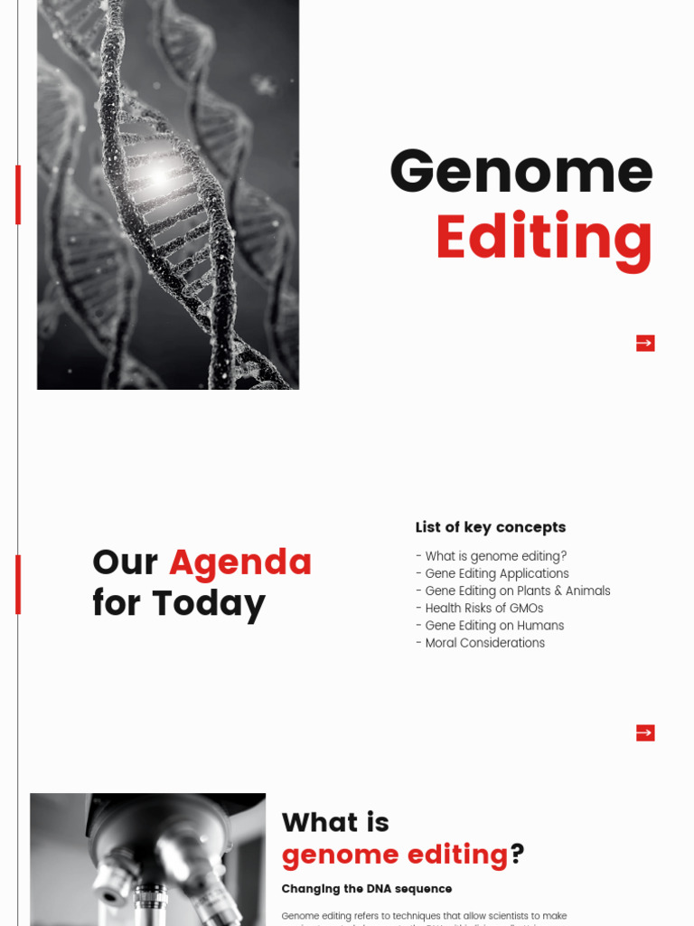 Understanding Genome Editing: Risks & Ethics | PDF | Genetic ...