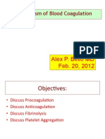 Mechanism of Blood Coagulation