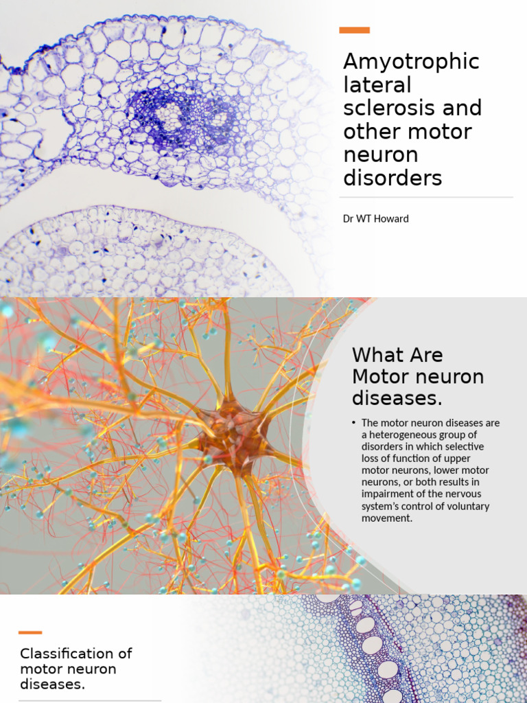 Amyotrophic Lateral Sclerosis and Other Motor Neuron Disorders | PDF ...