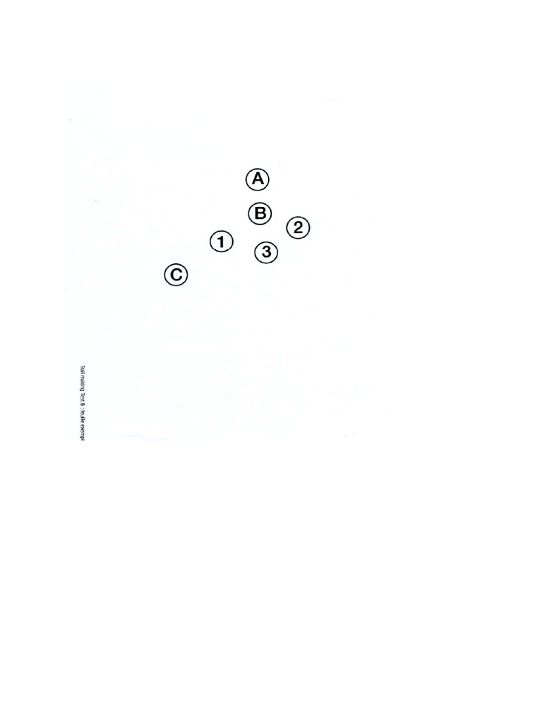 TMT B | PDF