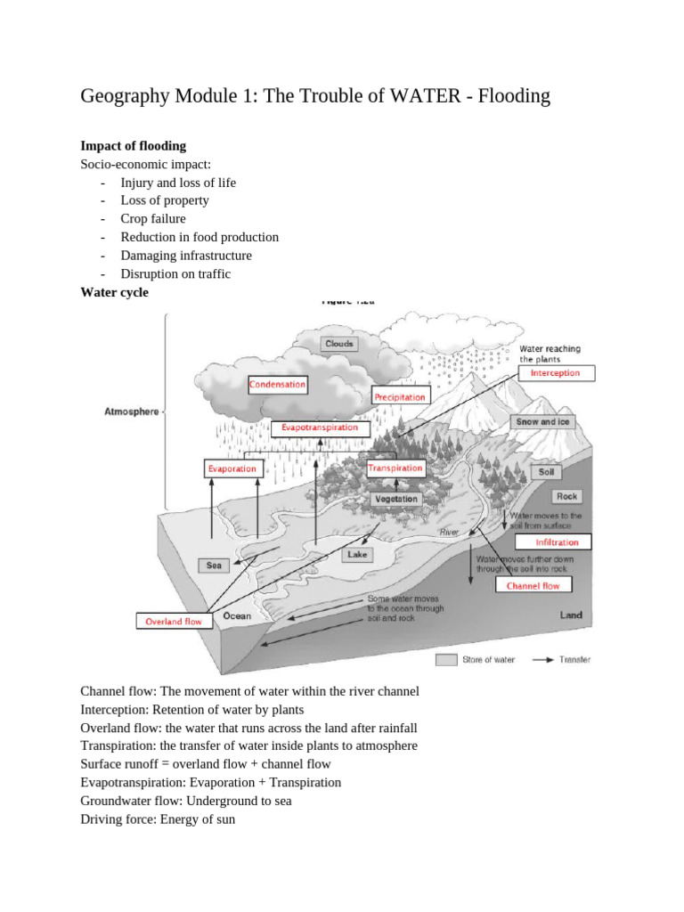 Flooding: Causes, Impacts, and Solutions | PDF | Flood | Surface Runoff