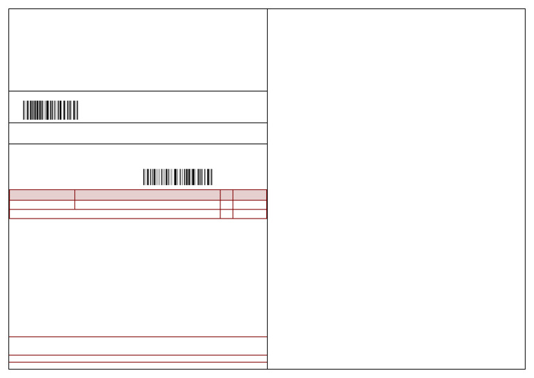 Shipping Label for Order #2348810042 | PDF