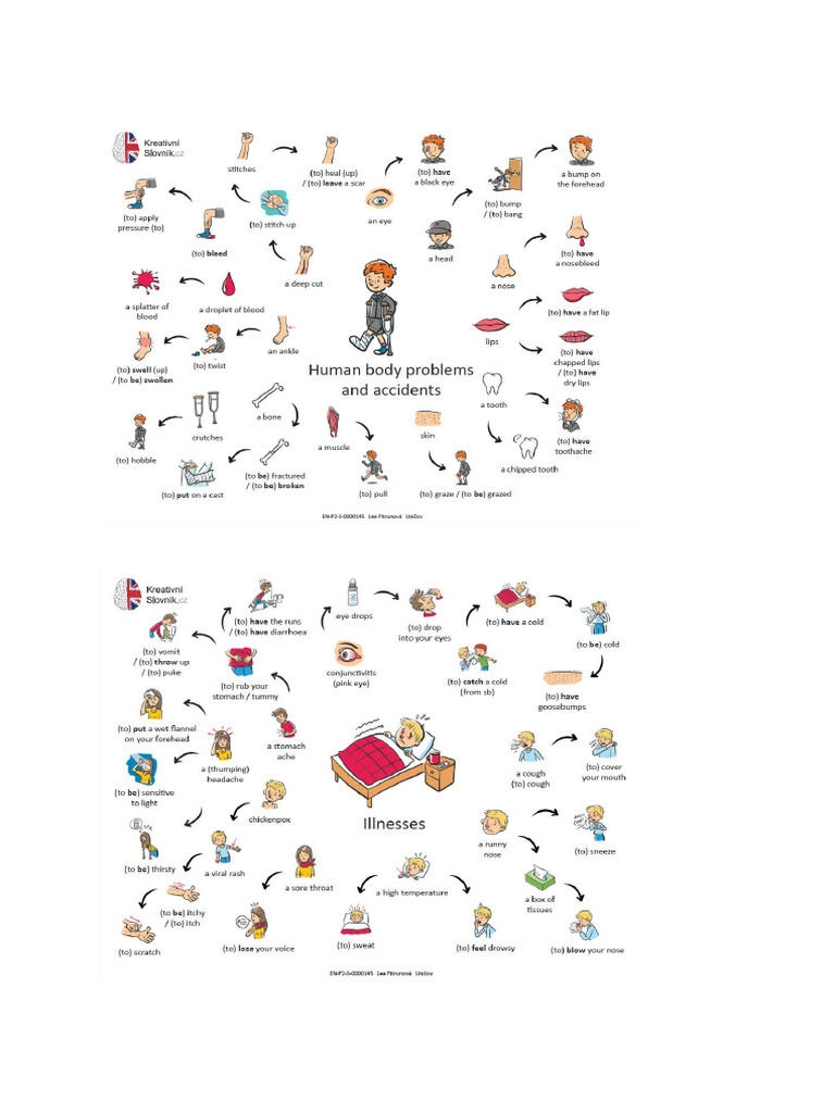 Injuries and Illnesses | PDF