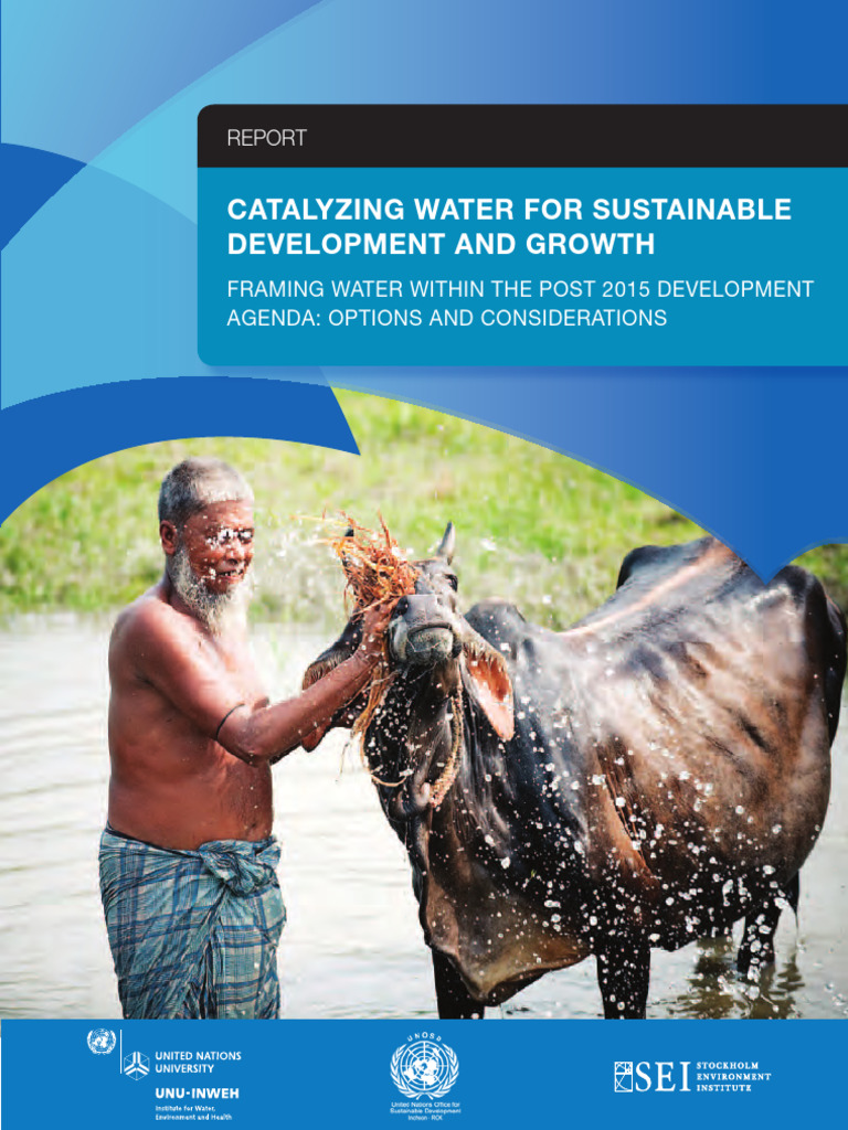 Catalizing Water in The Post 2015 Agenda | PDF | Millennium Development ...