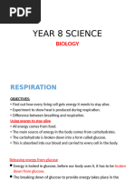 Year 7 Revision Sheet and Model Answer | PDF | Chemical Compounds ...