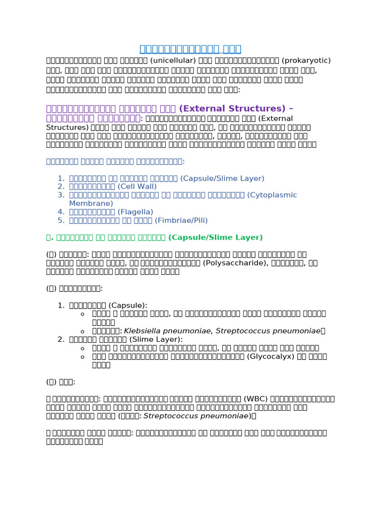 (External Structures) | PDF