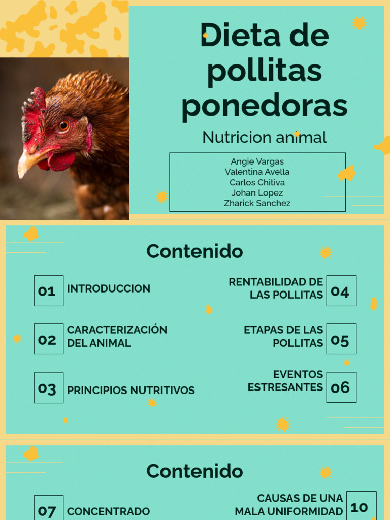 Nutrición y Manejo de Pollitas Ponedoras | PDF | Cereales | Dieta