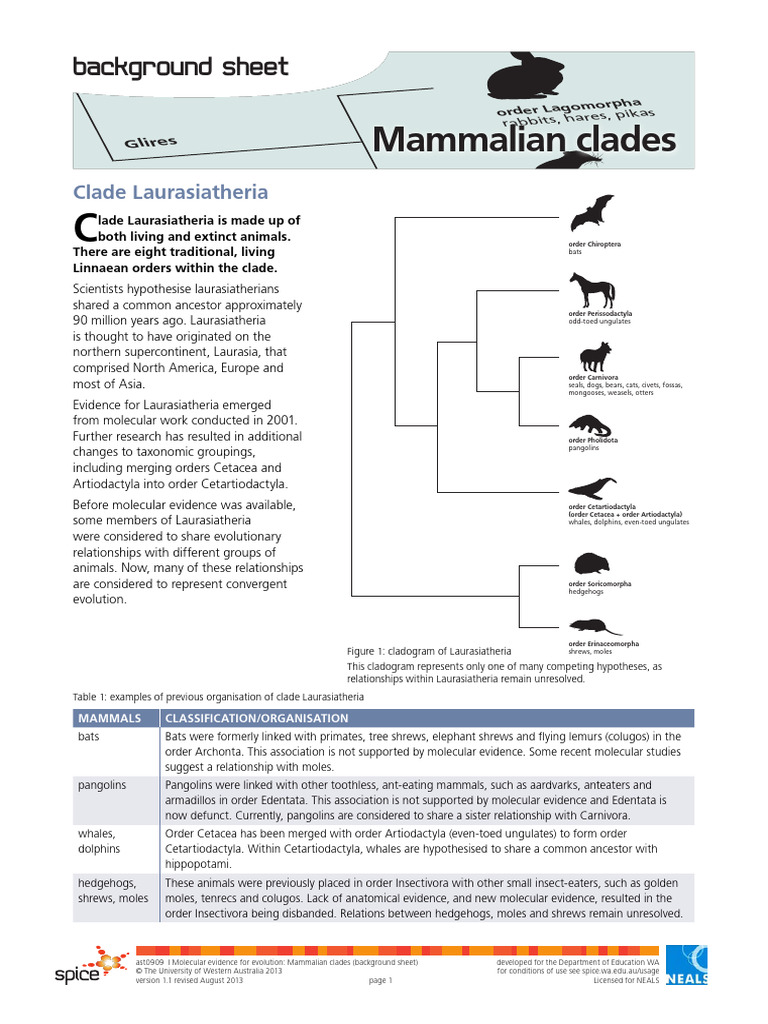 Mammalian Clades Overview | PDF | Mammal Orders | Zoology