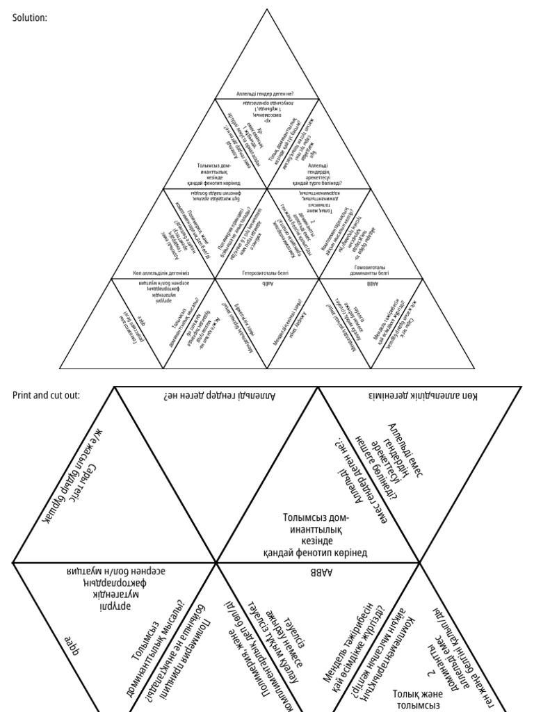 Tarsia | PDF