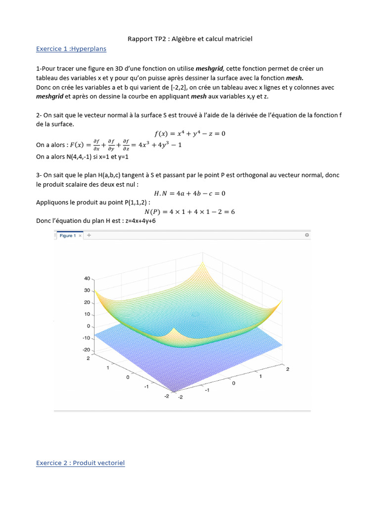 Rapport sur l'Algèbre et Matrices | PDF | Fonction (Mathématiques ...