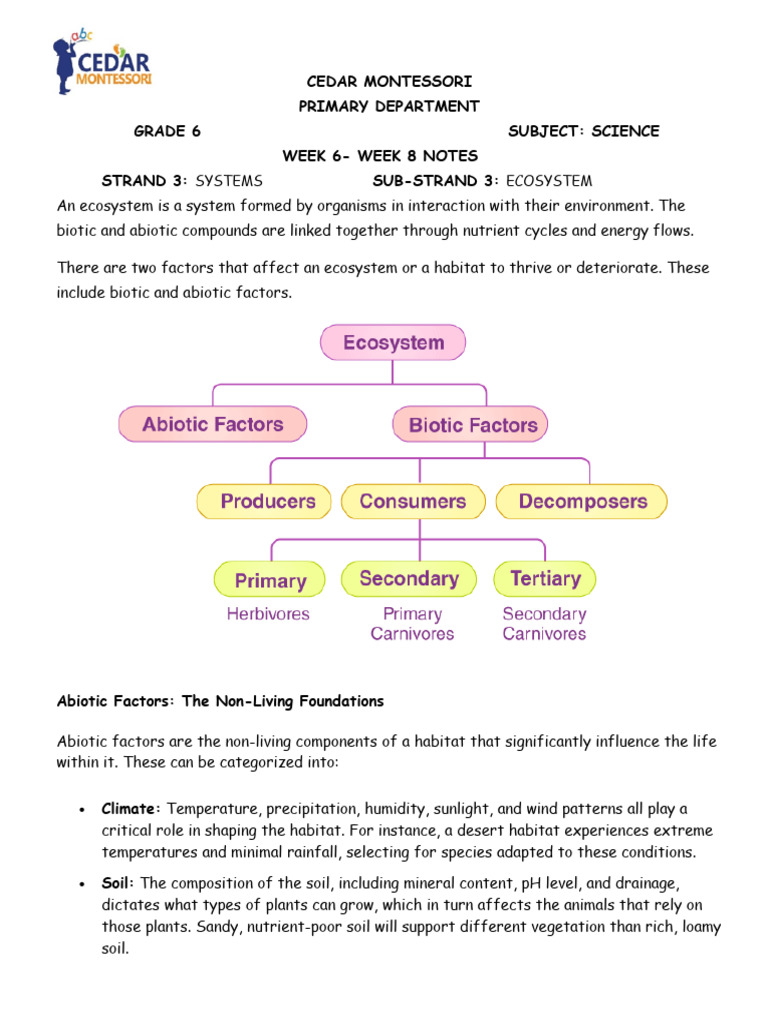 Basic 6 Notes Ecosystem | PDF | Ecosystem | Herbivore