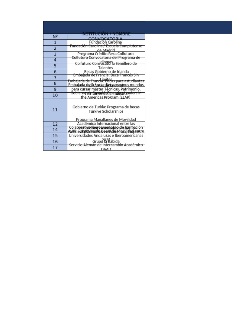 Convocatoria Becas Internacionales 2025 | PDF | Doctorado | Universidad