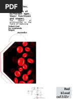 Labeled Diagram of Red Blood Cells | PDF | Red Blood Cell | Blood