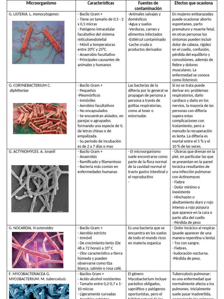Microorganismos patógenos y sus efectos | PDF | Mycobacterium ...