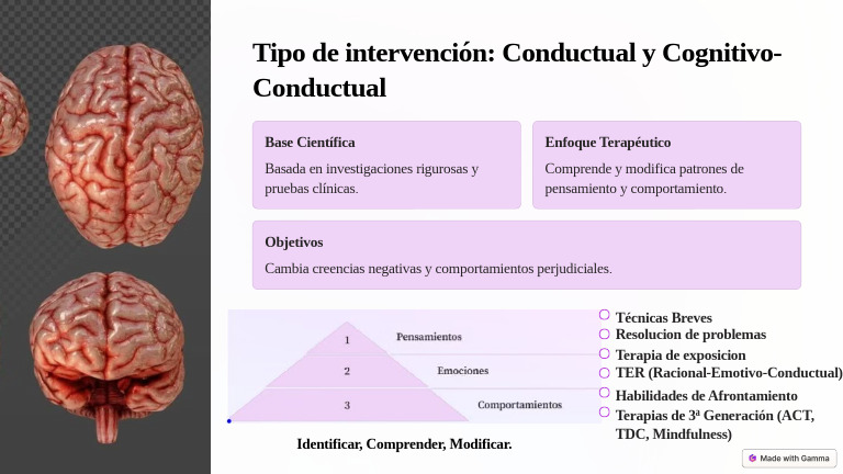 Tipo de Intervencion Conductual y Cognitivo Conductual 3 | PDF