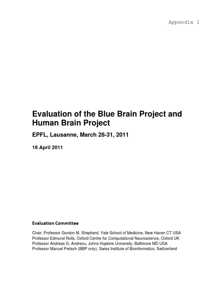 Evaluation of Blue Brain & Human Brain Projects | PDF | Brain ...