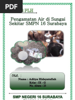 Download Hasil Laporan Penelitian Air by Aditya Hidayatullah SN82775893 doc pdf