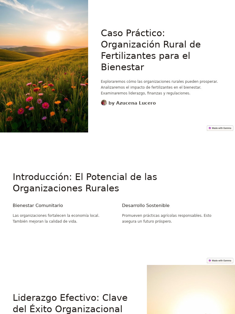 Caso Practico Organizacion Rural de Fertilizantes para El Bienestar | PDF