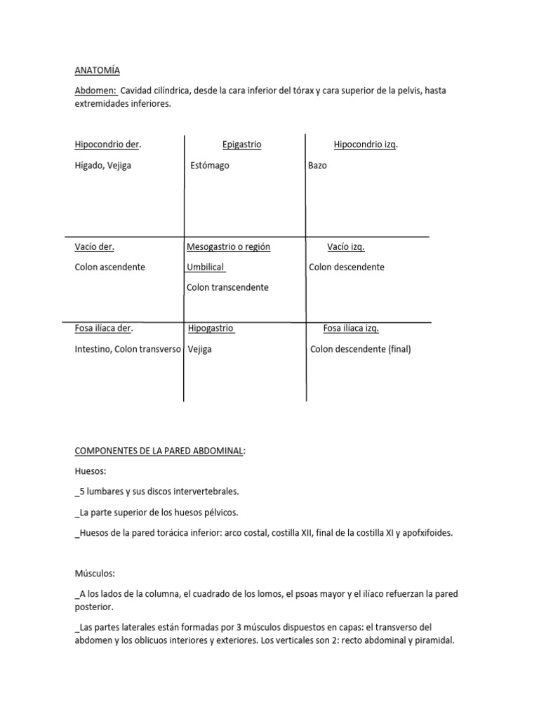 Anatomía y Tipos de Hernias Abdominales | PDF | Abdomen | Morfología ...