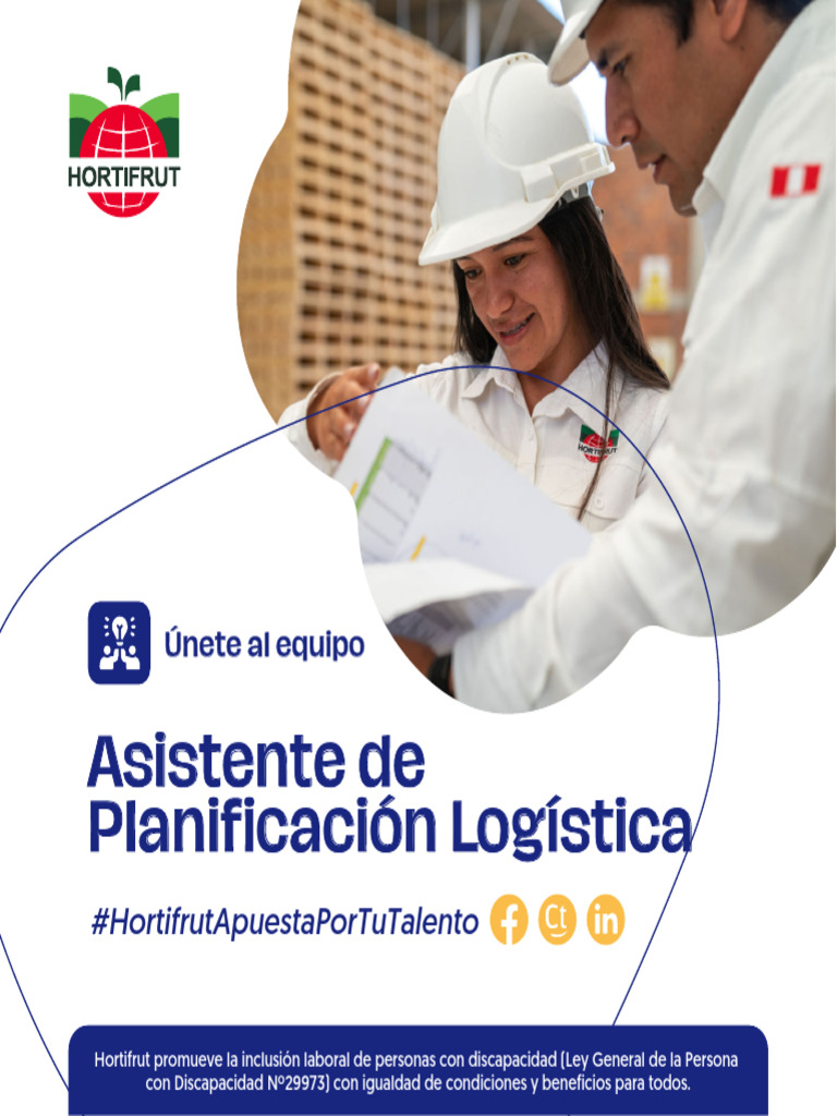 Convocatoria Asistente de Planificación Logística | PDF