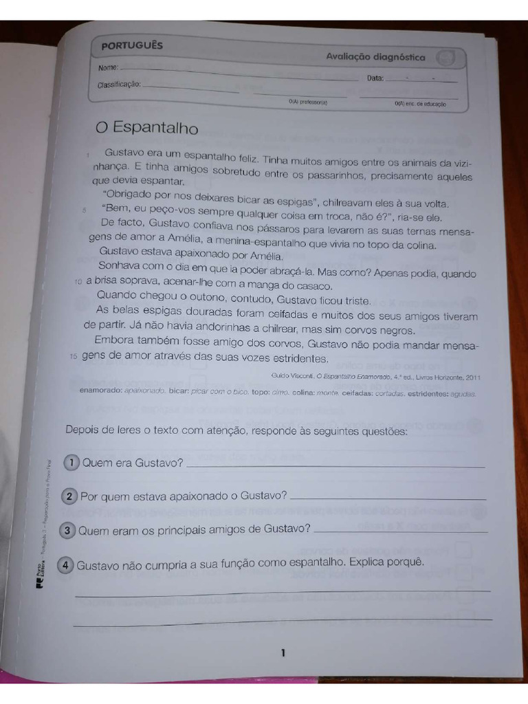 Fichas de Diagnóstico e Avaliação Trimestral de Português - 3º Ano | PDF