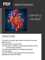 Anatomy and Function of the Heart | PDF | Heart Valve | Atrium (Heart)