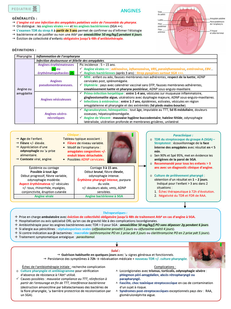 Comprendre les angines : types et traitements | PDF | Médecine clinique ...