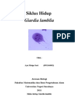 Giardia Lamblia