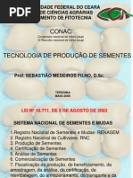 26872757 Tecnologia de Producao de Sementes