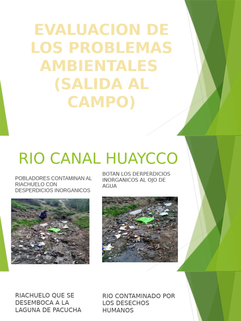 Evaluacion de Los Problemas Ambientales | PDF | Residuos | Contaminación