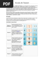 Clasificación de la Escala de Tanner | PDF | Pecho | Testículo