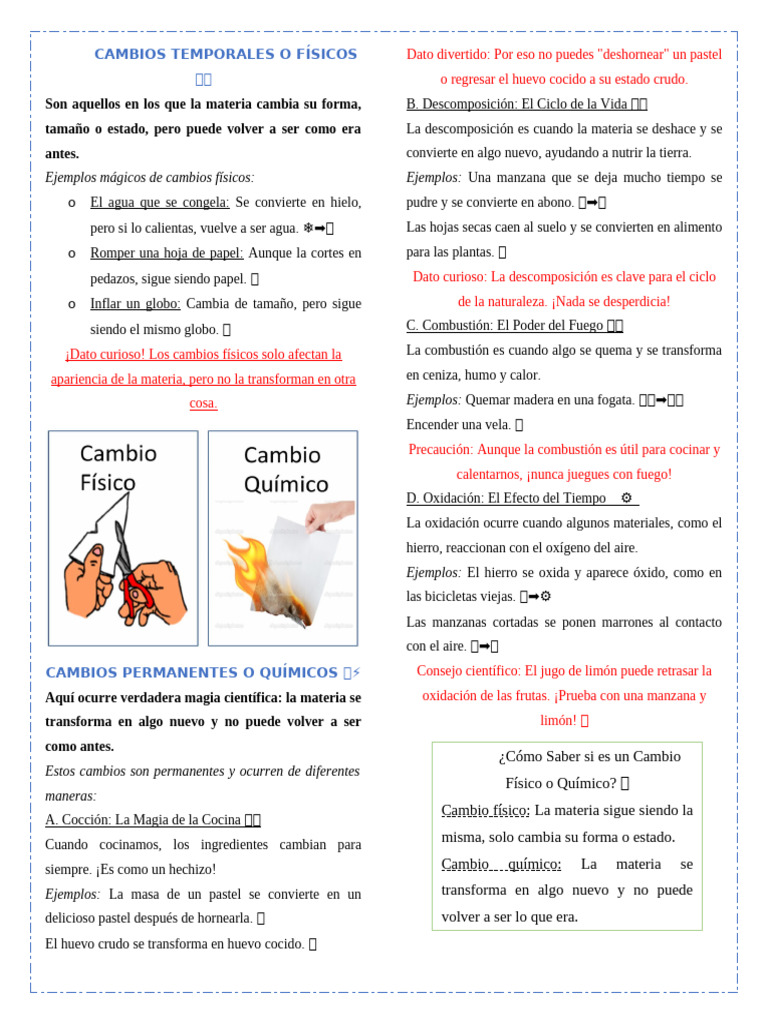 Cambios Temporales y Físicos Explicados | PDF | Cocinando | Combustión