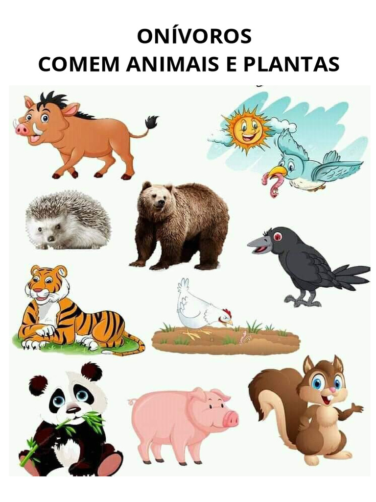 Animais Onívoros PDF | PDF