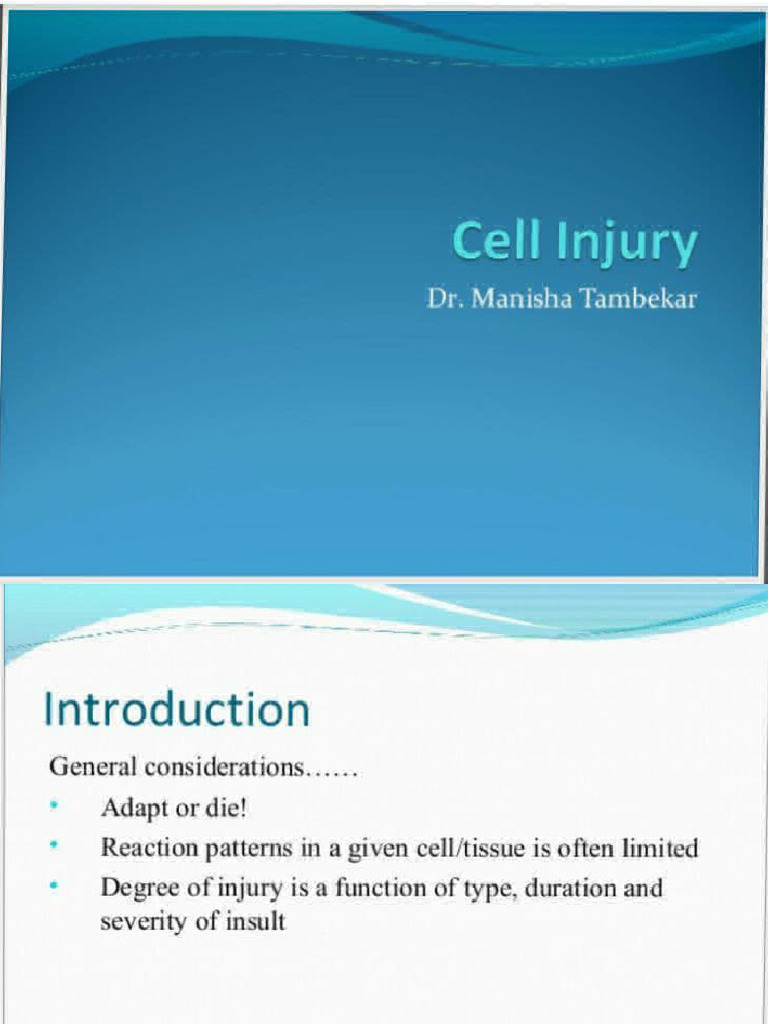 Pathology Notes (BPT) - Cell Injury | PDF