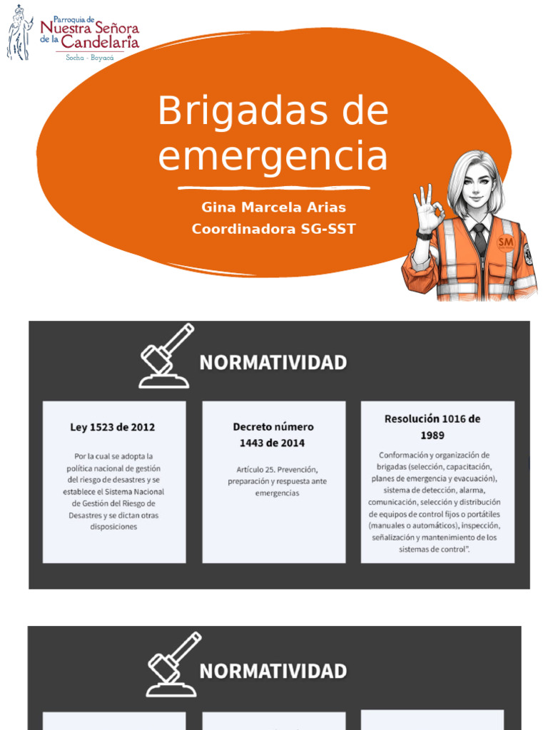 Clasificación y Gestión de Emergencias | PDF | Riesgo | Tsunami