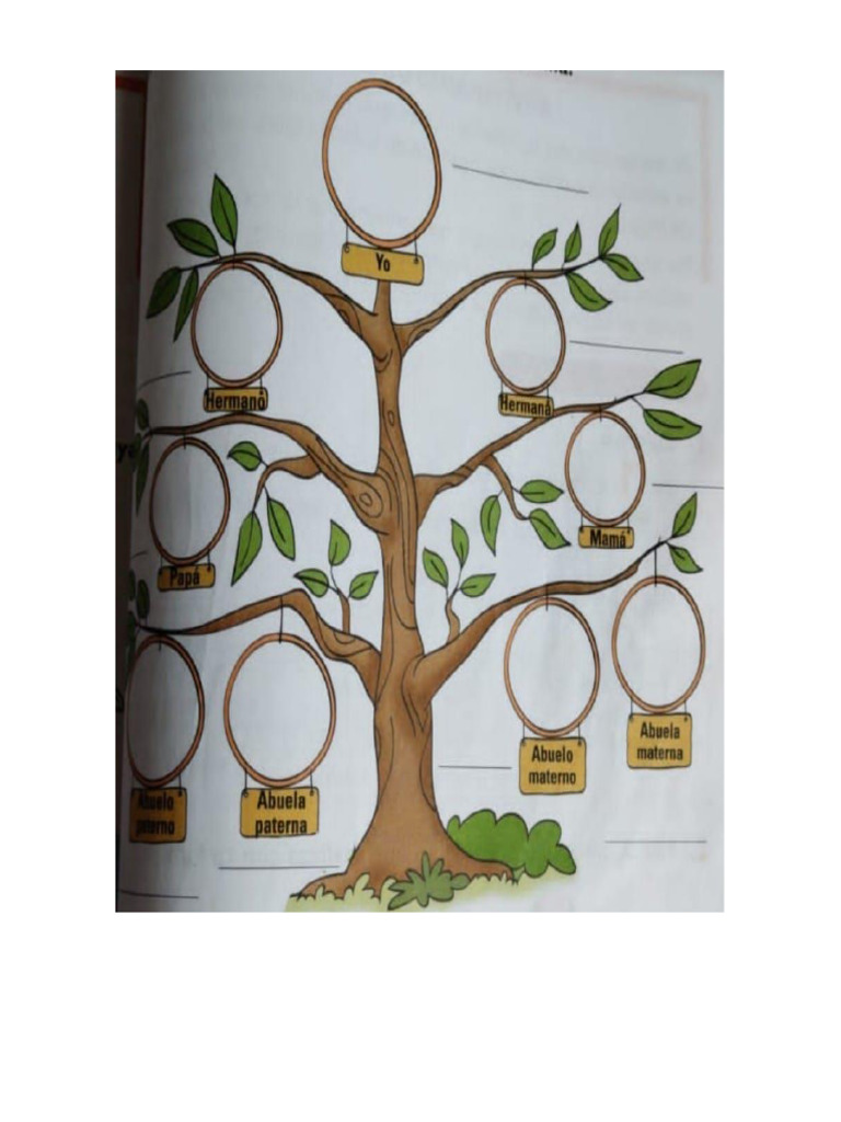 Arbol Genealogico | PDF